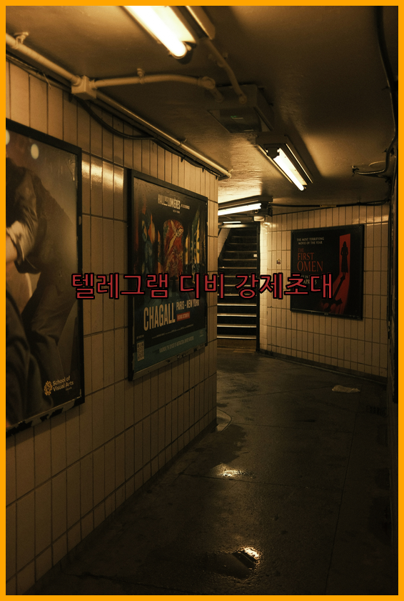 텔레그램 번호 디비 강제초대