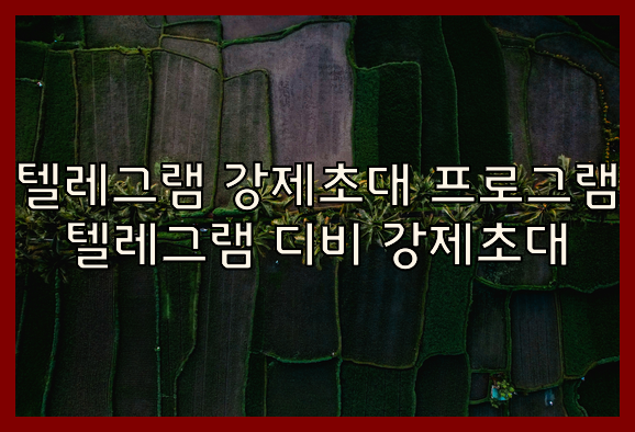 텔레그램 그룹 db 강제초대 프로그램